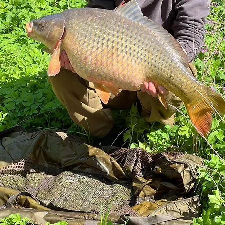 U Berounky Appartement Beroun (Central Bohemian)