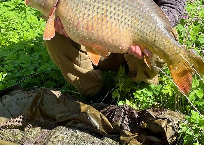 U Berounky Appartement Beroun (Central Bohemian)